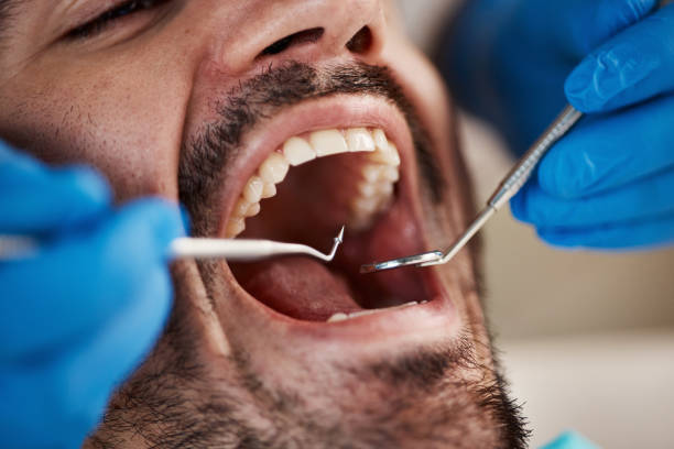Best Weekend Emergency Dentist in St Joseph, IL
