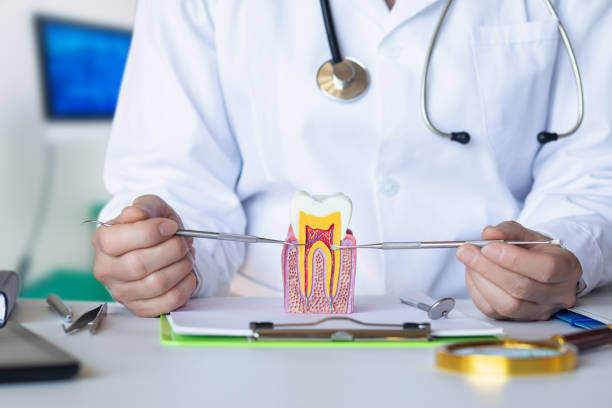 Best Emergency Dental Care for Abscessed Tooth in St Joseph, IL